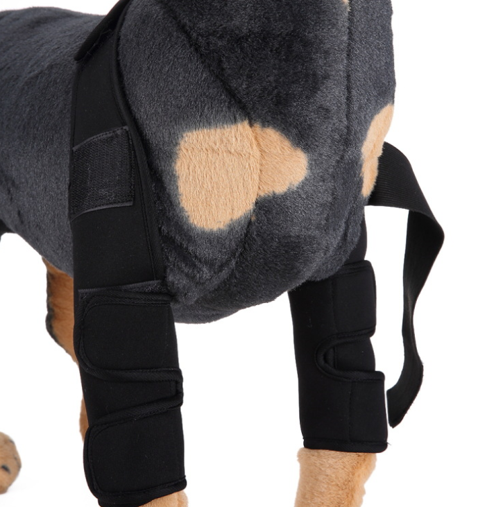 Rodillera y protector de pata para perros para la recuperación de lesiones