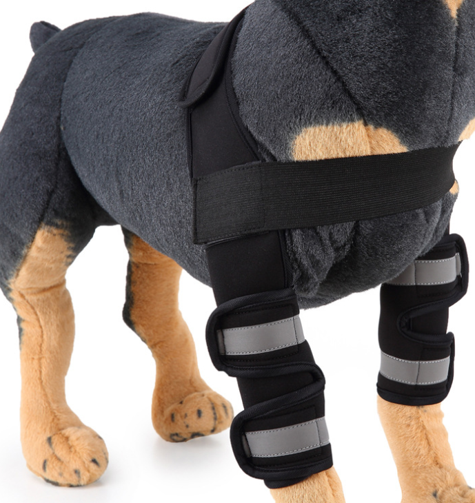 Rodillera y protector de pata para perros para la recuperación de lesiones