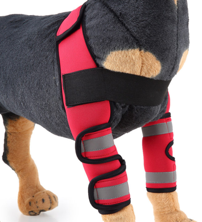 Rodillera y protector de pata para perros para la recuperación de lesiones