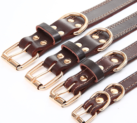 Collar de Tracción de Cuero para Perros