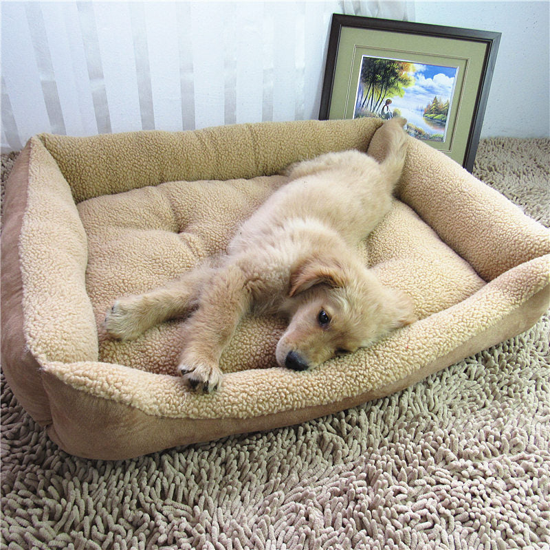 Cama y Casa para Mascotas Teddy Golden Retriever