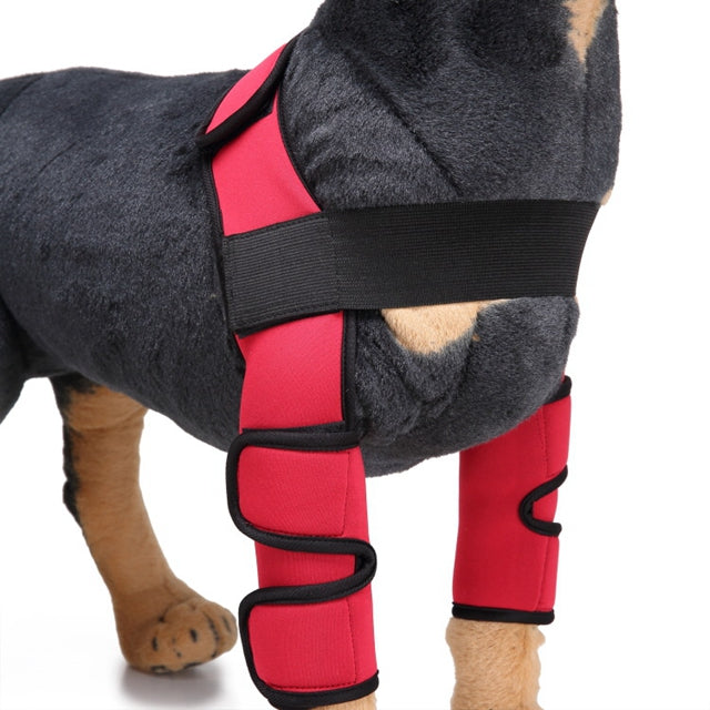 Rodillera y protector de pata para perros para la recuperación de lesiones