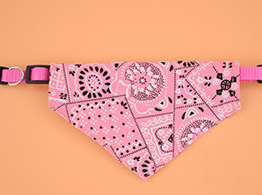 Collar con Pañuelo Triangular Retráctil para Mascotas
