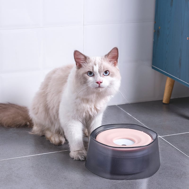 Cuenco para Beber a Prueba de Salpicaduras para Perros y Gatos