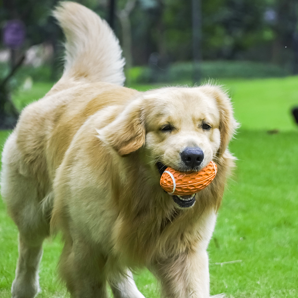 Juguete Duradero para Perros para Aliviar el Aburrimiento y el Tiempo de Juego