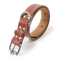 Collar de Tracción de Cuero para Perros