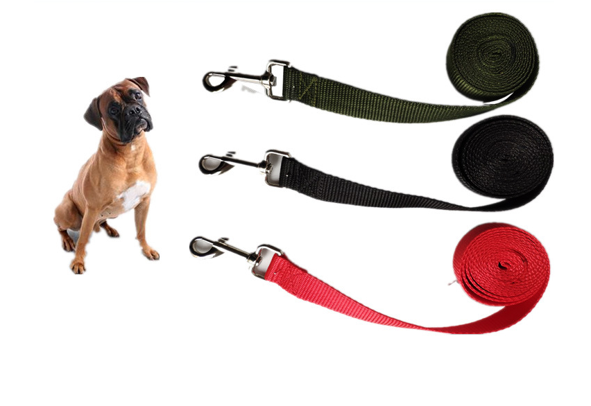 Correa Larga para Perro de 2.5CM de Ancho