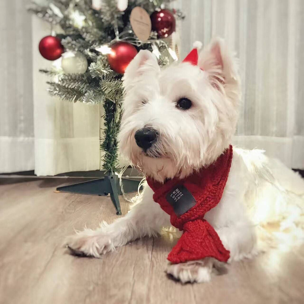 Bufanda Cálida y Gruesa para Perros - Bufanda Linda para Mascotas