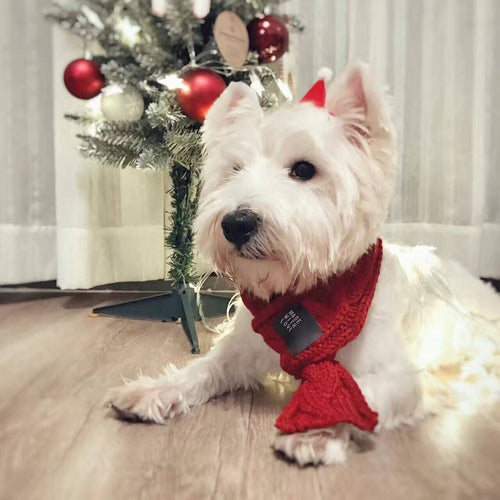 Bufanda Cálida y Gruesa para Perros - Bufanda Linda para Mascotas