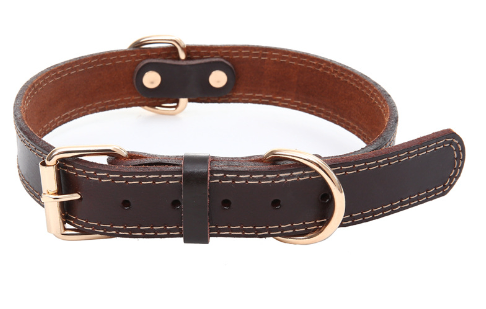 Collar de Tracción de Cuero para Perros