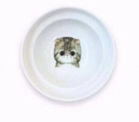 Soporte Protector de Espina para Comida y Agua de Gato