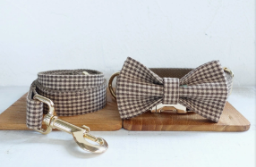 Conjunto de Pluma y Correa para Mascotas Teddy Dog