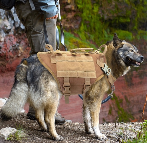 Chaleco Grande para Perro con Correa y Combo Mochila