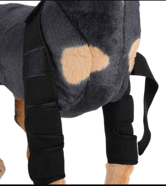 Rodillera y protector de pata para perros para la recuperación de lesiones