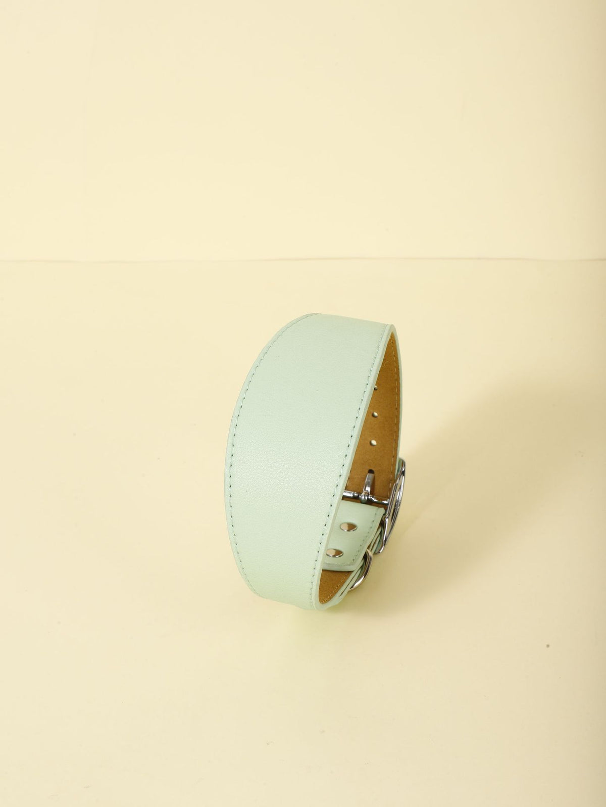 Collar Casual Ajustable para Mascotas